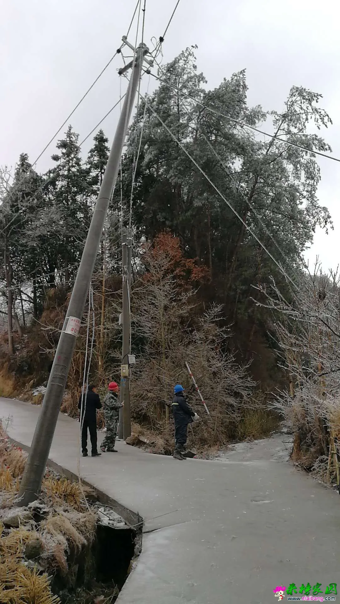 微信图片_20180104093158.webp