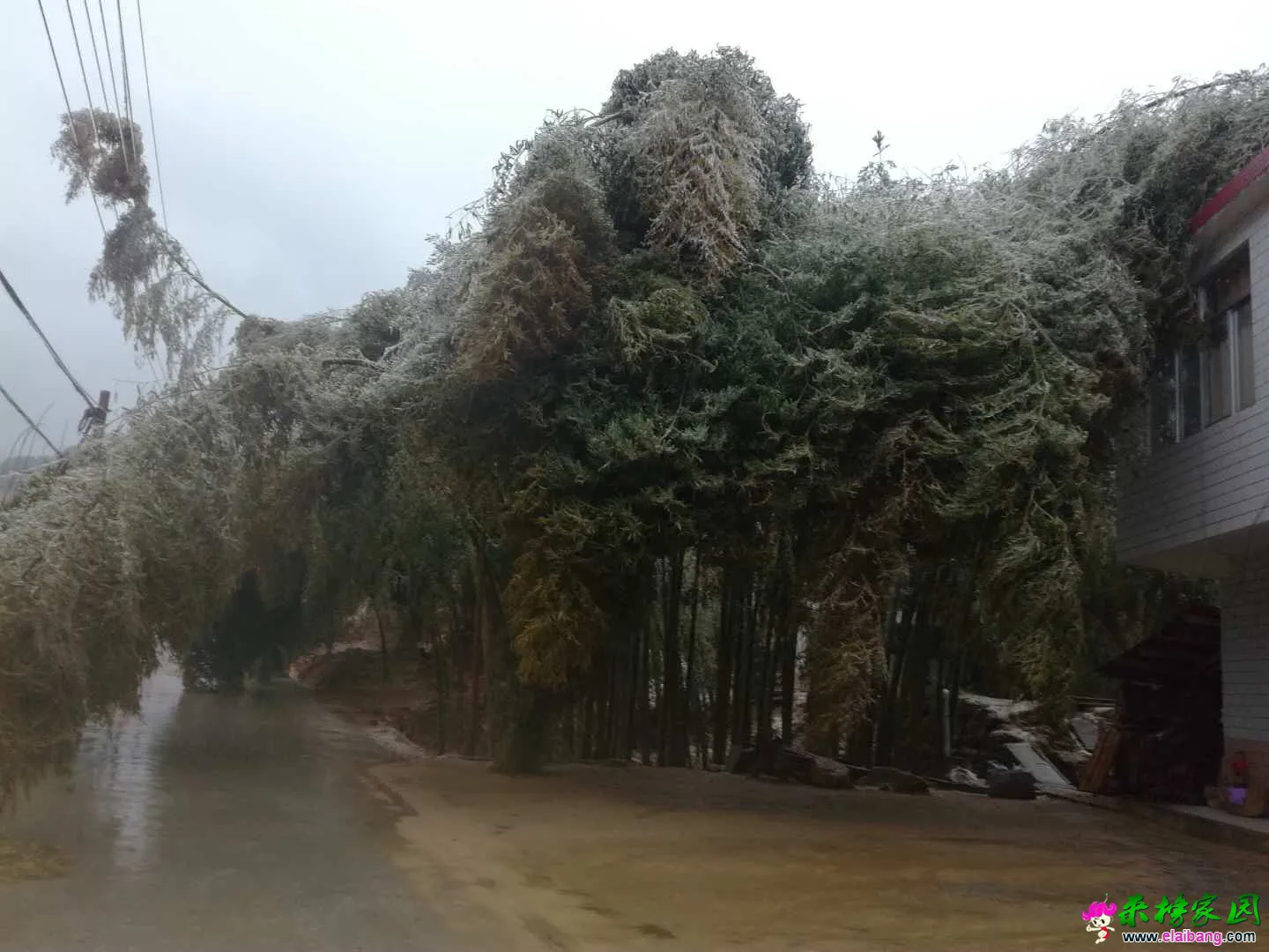 微信图片_20180104101244.webp