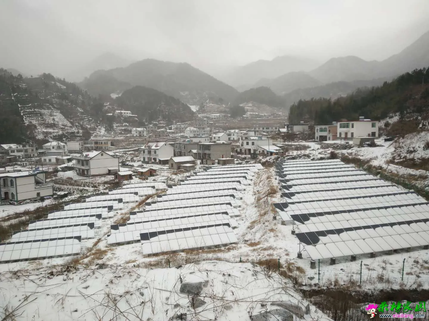 微信图片_20180104101309.webp