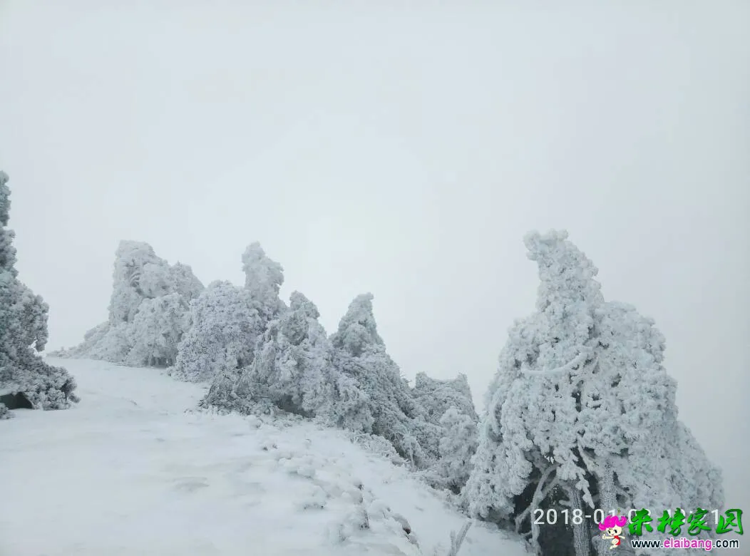 102551zz4y8jkrr0l38081.webp