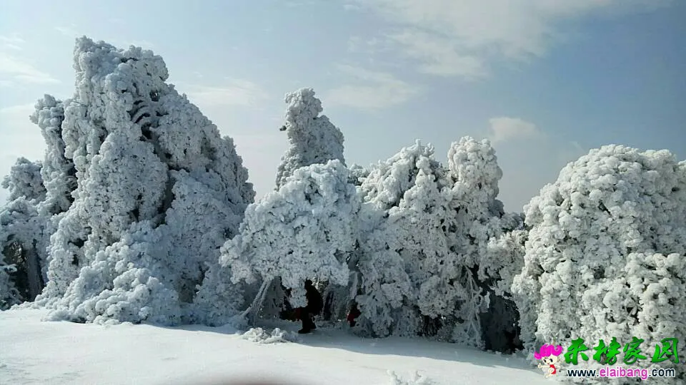 162936fduldsvrqfmls58d.webp