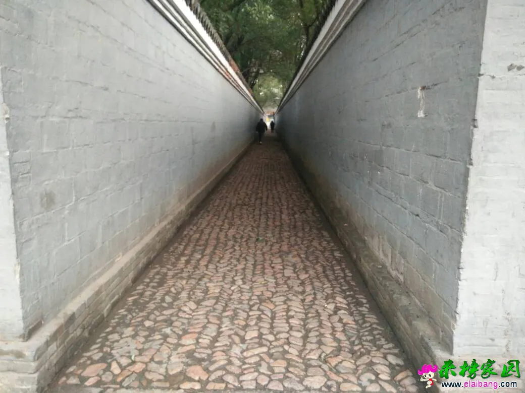 151514faa6h9z399h16pr3.webp