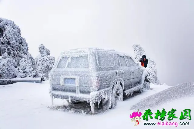 b82f749601e277000a8df92627ebeb4f.webp