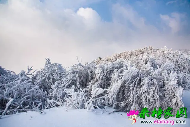 c300501a66f842c1cd8643a103134216.webp