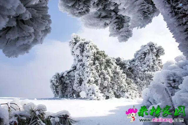 a7c5b2fef77862cbe8fc501210125636.webp