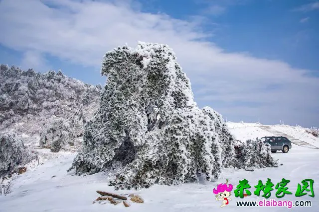 3065dec1615ba1f7c9cf400faa5d1e47.webp