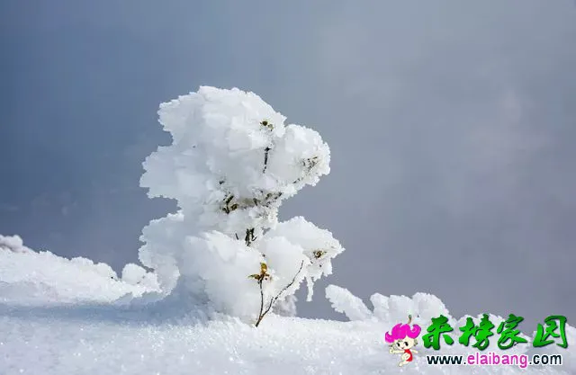 21f70829f5b6b34504695733478e747f.webp