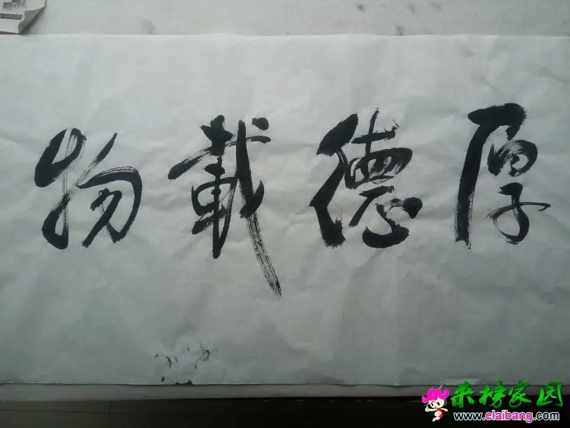 132236bk06pjkawbkdpkwp.webp