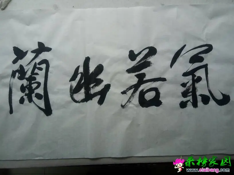 132238cm4ripsk46nk4r48.webp