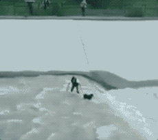 917deab9f4f2de73debe860bca3de822.gif