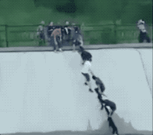 62e272cd69c6b27050db766a7dc8deb5.gif