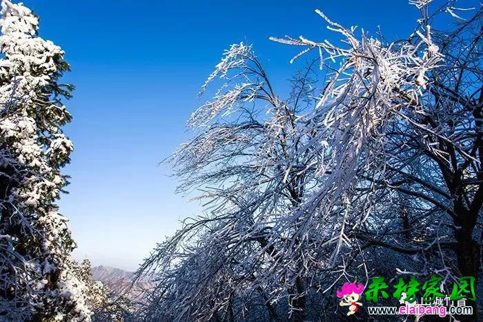 e8a093d54ed7cb534f32593c5dcdc670.webp
