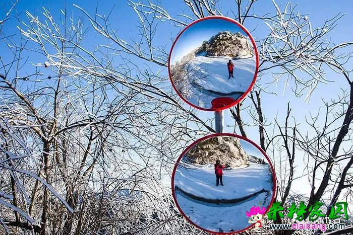 b105da3a5904bb9678ded2a2d410eeed.webp