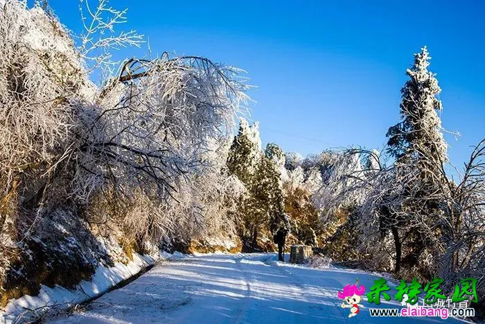 02174f8c6d5c5ebd72cfd7a6c839ece4.webp