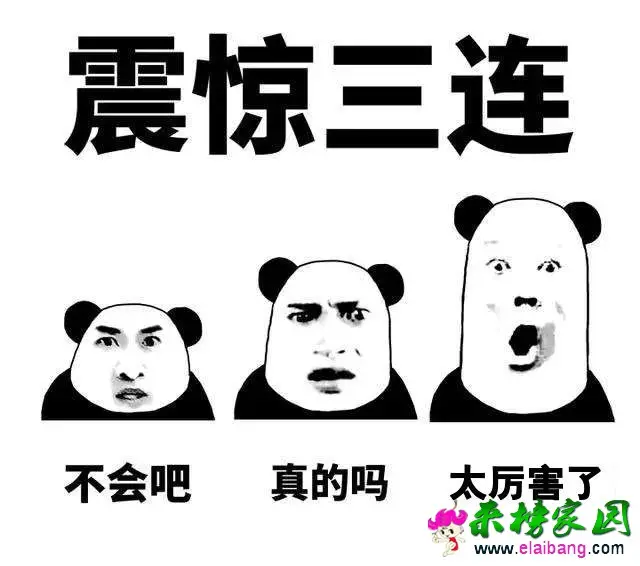 ec11cb3c2a8df9a7eb710449c91d4325.webp
