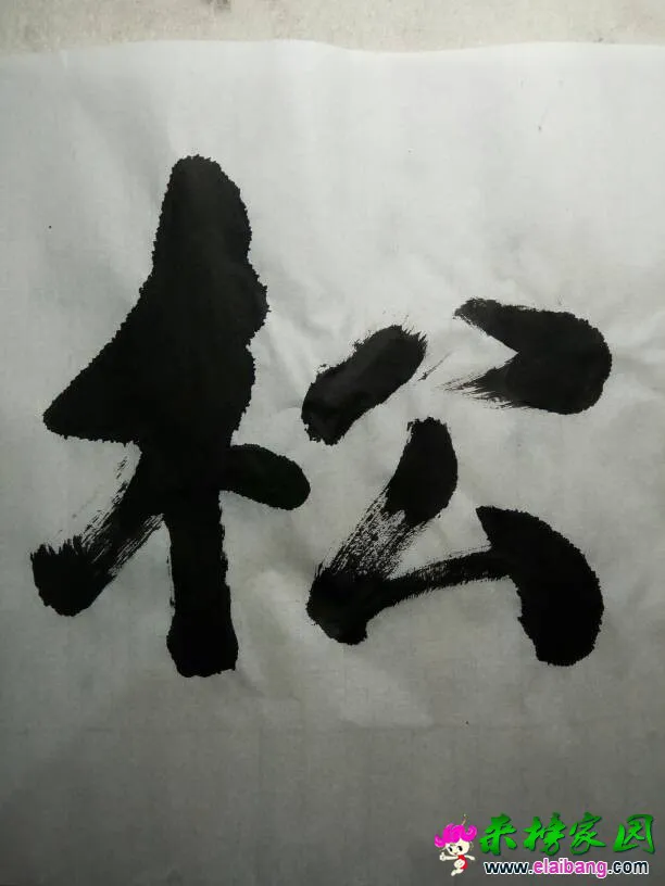 195000s53pdl2qgmlo9ngm.webp