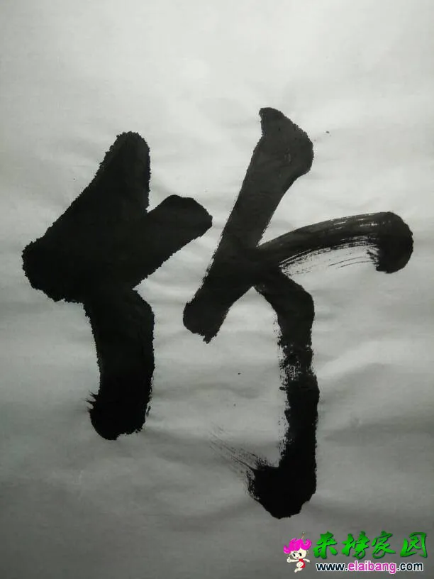 195003yohbtkwzkbzr0bi6.webp