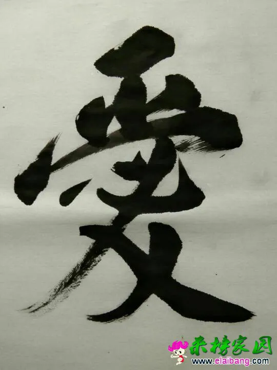 195007tnpki0x5qwbxq3f6.webp