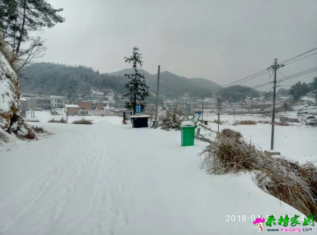 115201ctaoooydbt00ako4.webp