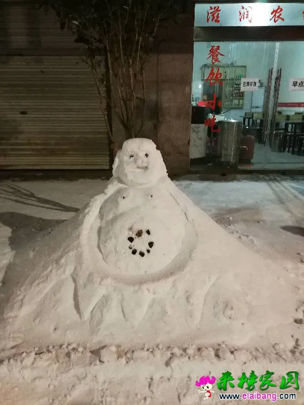 204259xa83v8czk56v38tp.webp