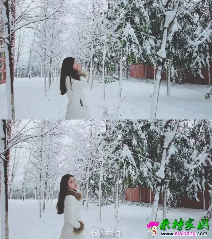 d84efaa1dd7a0107be8c7c3eb59b44f8.webp