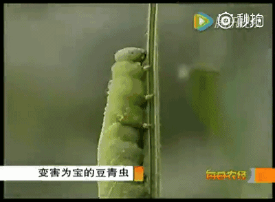 077e30427a598e0e50c457451bb10b1f.gif