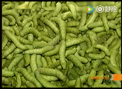 816c080b42a4fd6e009523589ad849e6.gif
