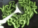 cf8256815436b05b023e56ebd80050cf.gif