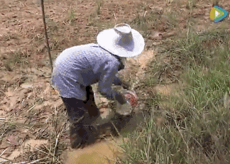 76f4e2f8e4e16b145a8df9685f113908.gif