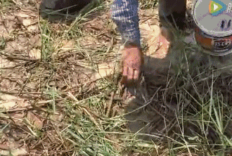 66f042e7760bb636b4f692a25215994e.gif