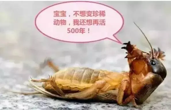 f9261380ec2f4697d8a98c0a17aaa1f9.webp
