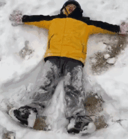 392f666c8012f88eba1333873a79c6b0.gif