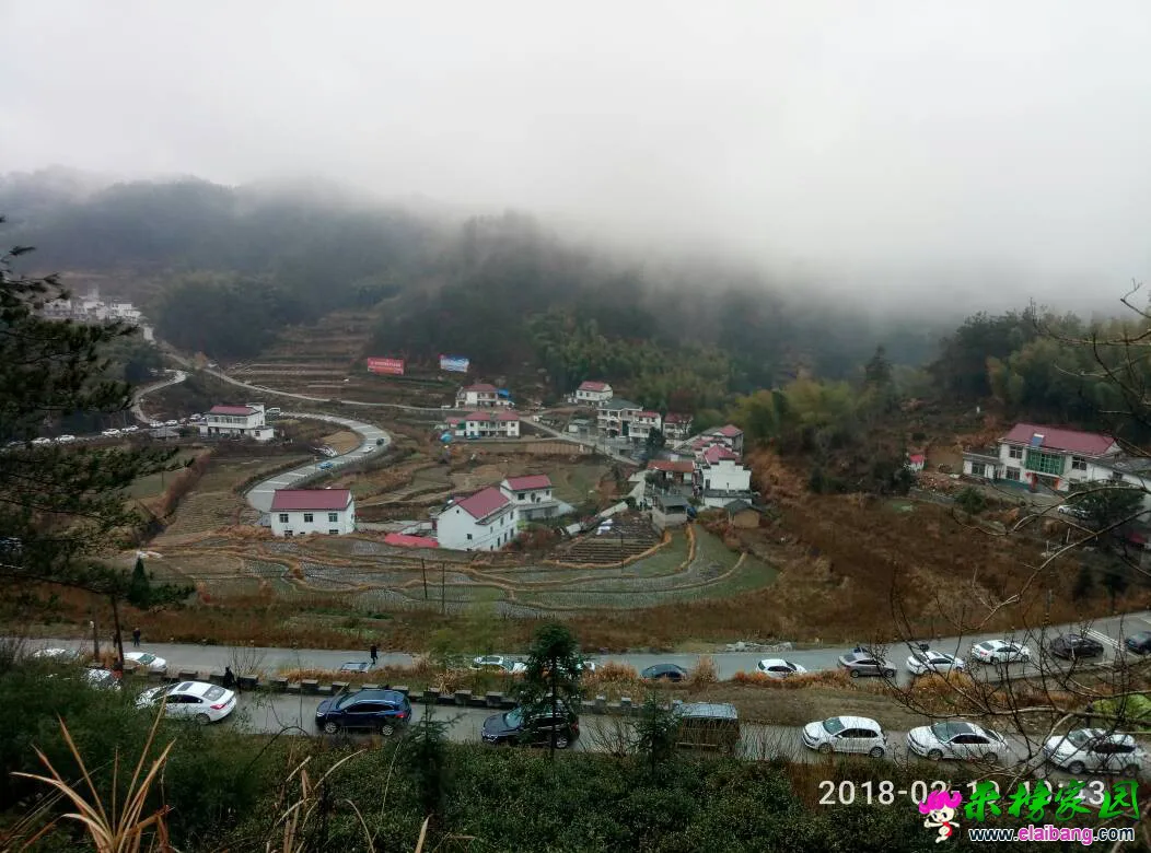 114858st17lzszdwwooxol.webp