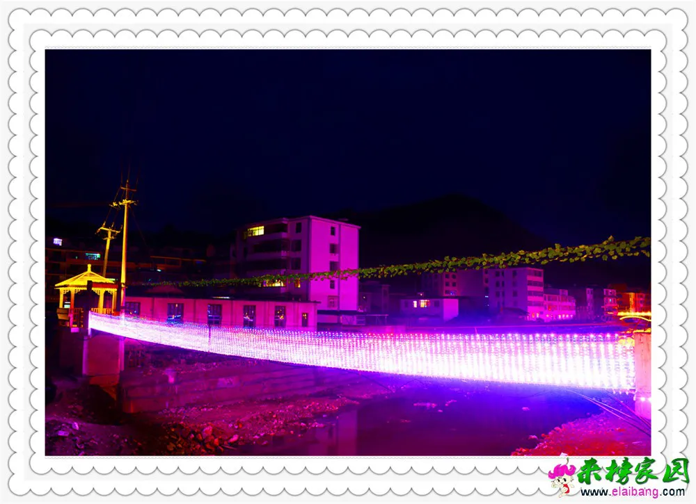 DSC_4823.webp