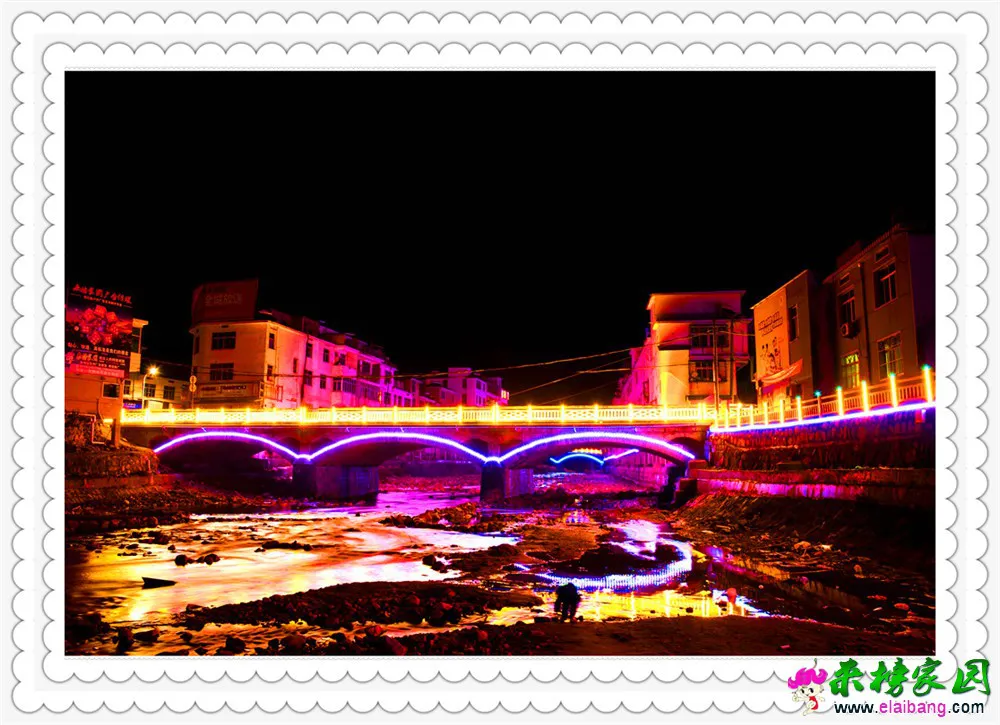 DSC_4833.webp