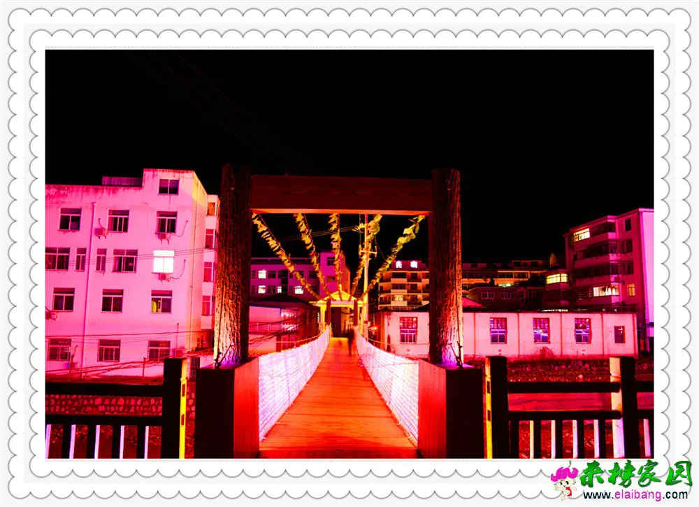 DSC_4837.webp