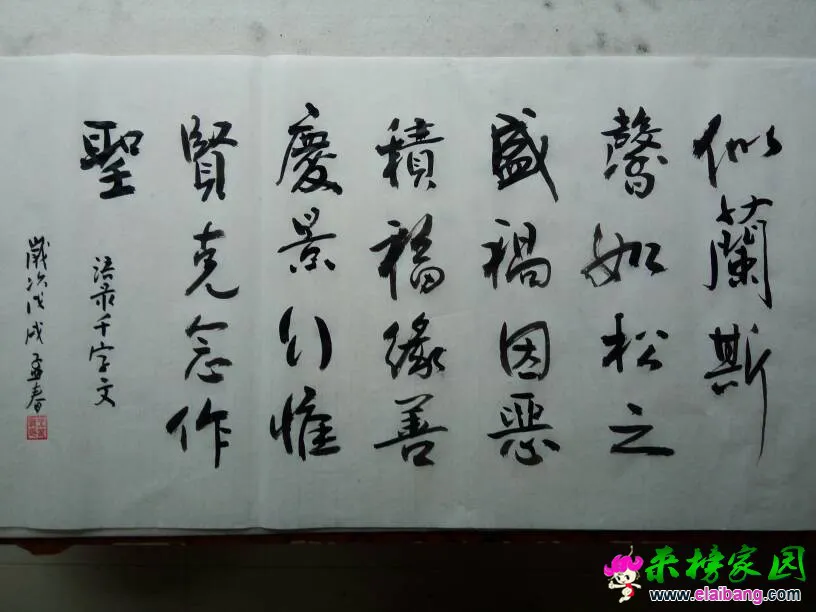 150730chbdq3uusurs35ci.webp