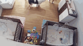 2d541123ff4dd759885e103d9454e425.gif