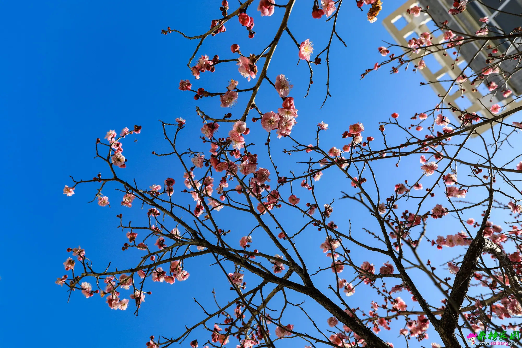 微信图片_20180224092056.webp