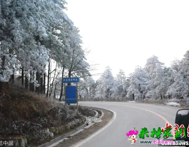 9AF8CEE68B13E9D56BE30008306F2E500B121133_size36_w550_h366.webp