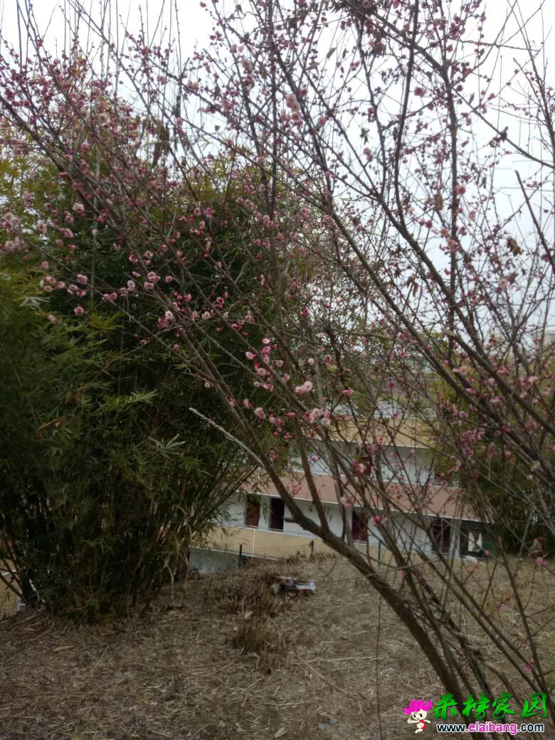 130156aw6vdb55dmd8sff3.webp
