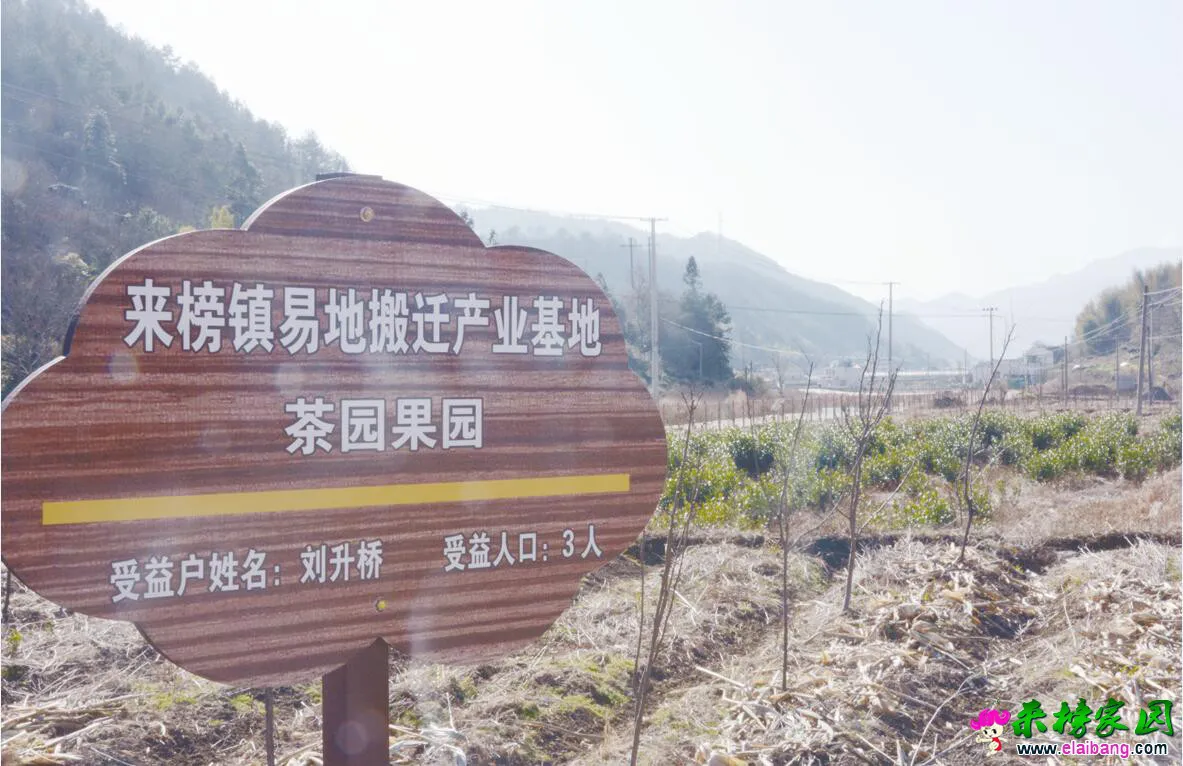 5a921ffcaea7d.webp