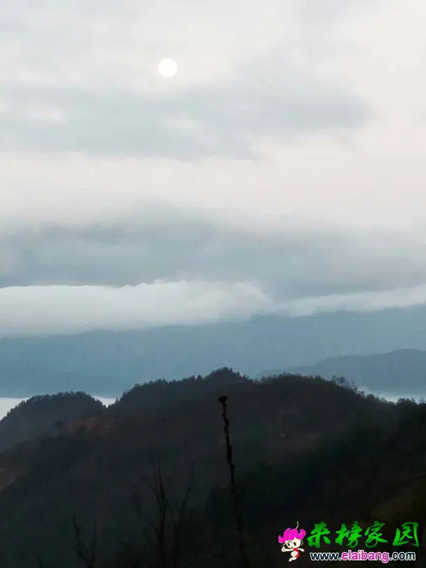 063729libws6js63d2fu6f.webp
