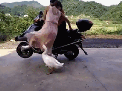 6a22448597f672b07661a8ca290218b2.gif