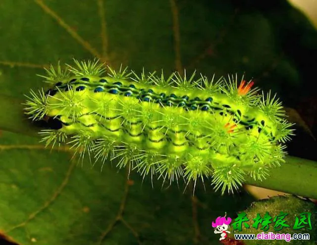 5b5f24875de824b7c5b4444e5be8d1bb.webp