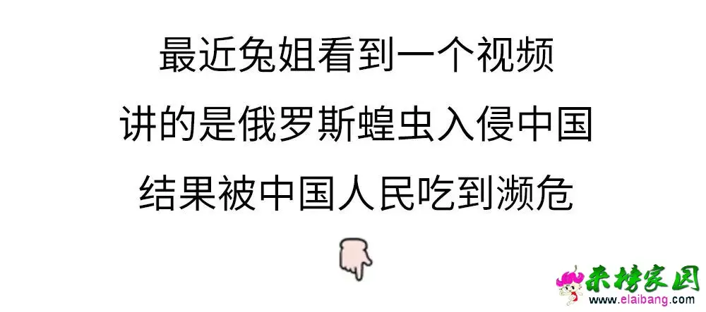 250c1fe2b061d87f8aa805444da7e321.webp