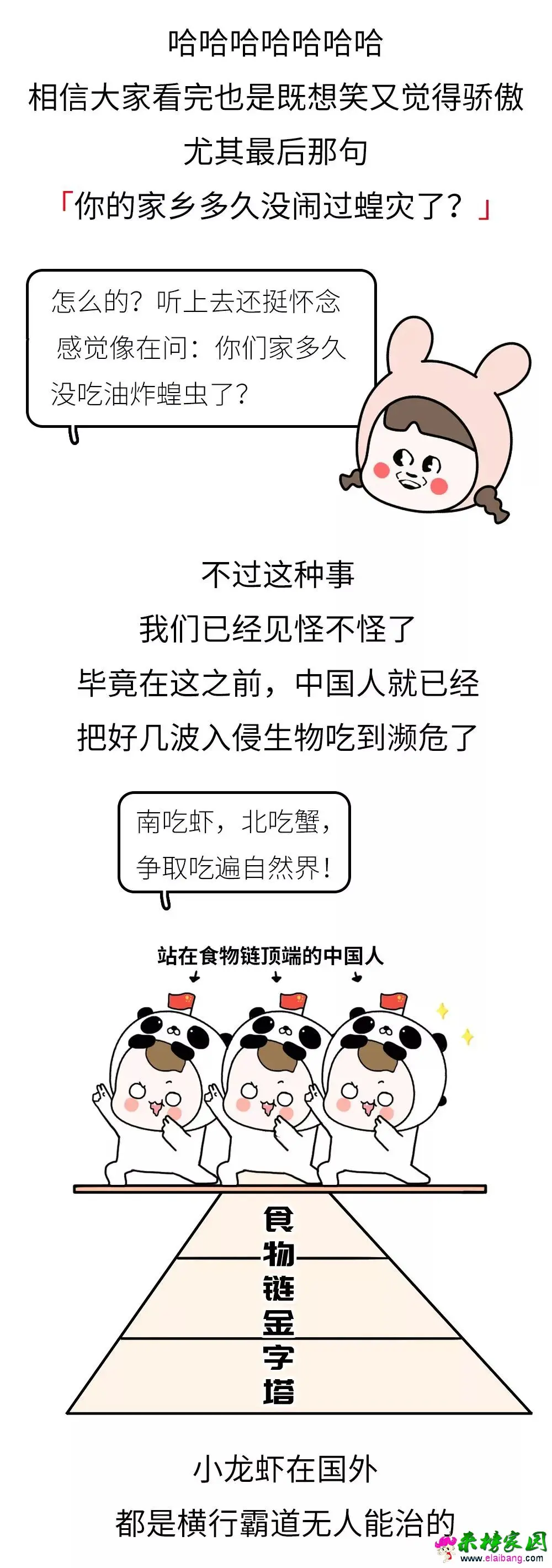 1f22e00ec2aebc413337a17aadce5fe7.webp