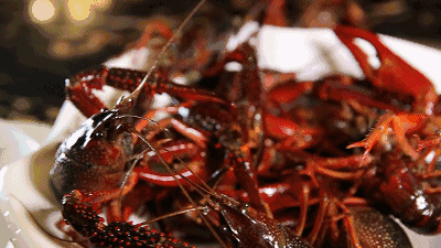9572161fe7d6499548f2a7495eb4f12d.gif