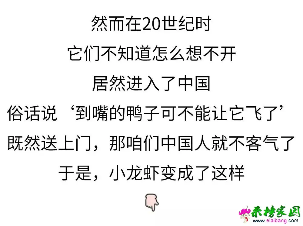 d307013d9b464727e806b19f0fc318a1.webp