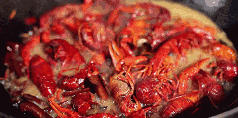 b1f8f26e9b1fd4853fad638b6543b04d.gif